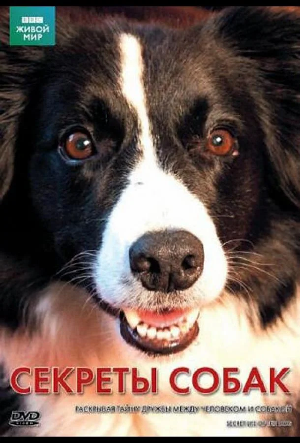 Смотреть Сериал BBC: Секреты собак(2010) бесплатно