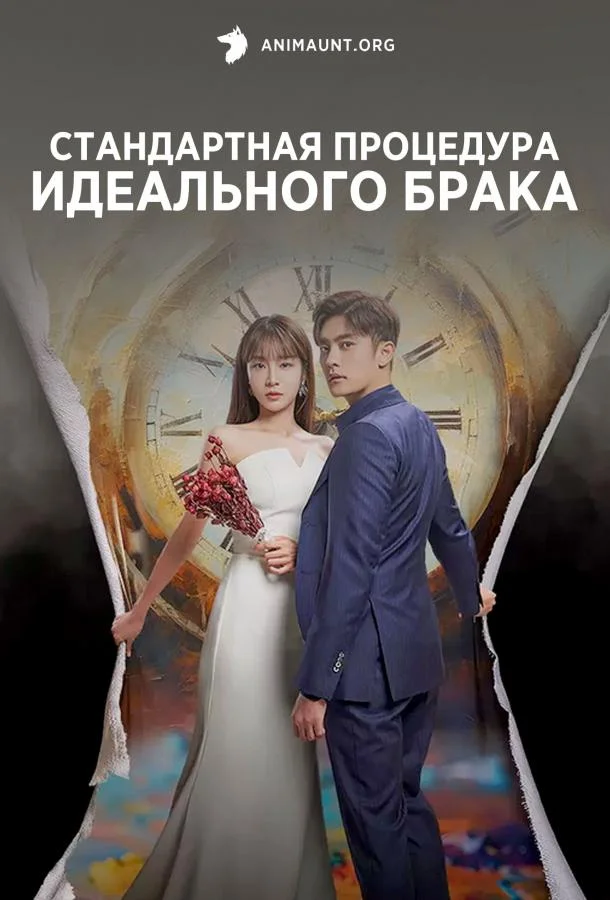 Смотреть Сериал Стандартная процедура идеального брака(2023) бесплатно