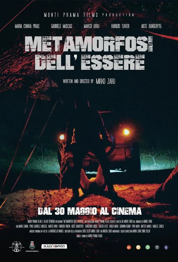 Смотреть Фильм Метаморфоза бытия(2024) бесплатно